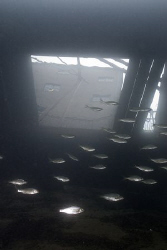 Stoney cove dive centre. D200, 16mm. by Derek Haslam 